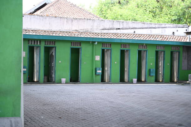 Best Sanitation services for porta potties  in Wainaku, HI